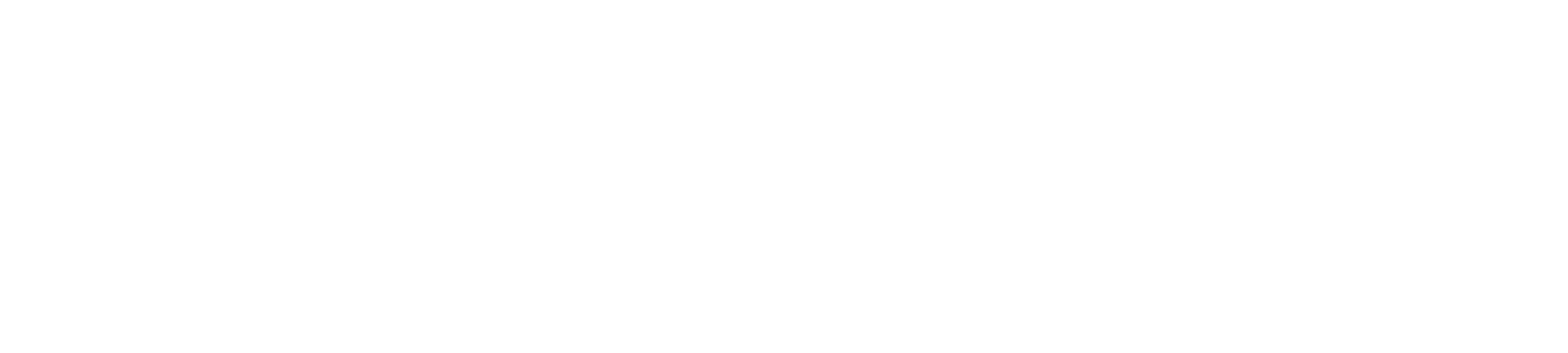 Logo von Liebl & Frank weis groß
